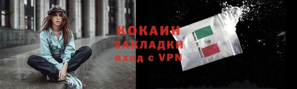 стафф Майский
