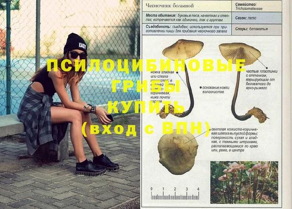 герыч Магас