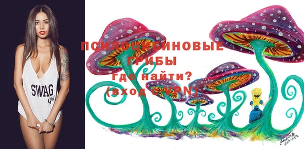 apvp Магадан