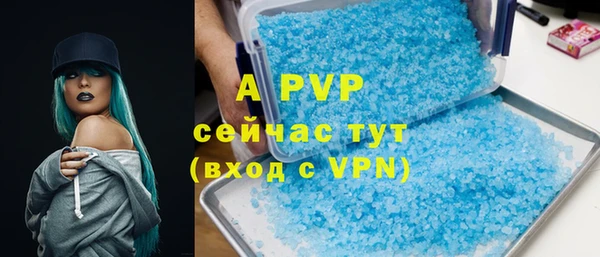 apvp Магадан