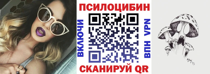 Купить  Мурино  Галлюциногенные грибы Cubensis 